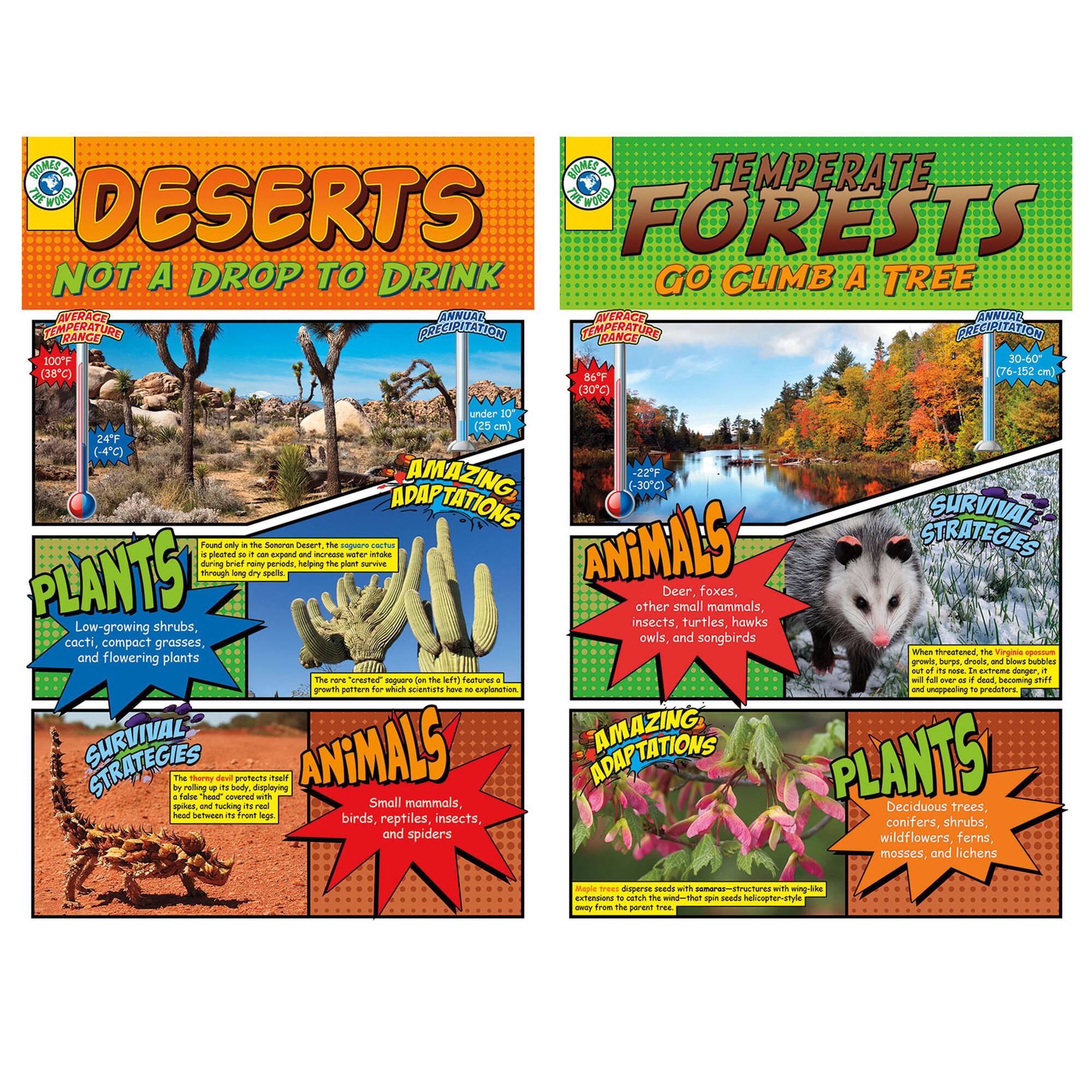 Biomes Bulletin Board Set